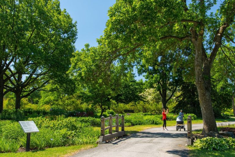 Ranking Montreal’s Top Picnic Spots for a Perfect Day Out